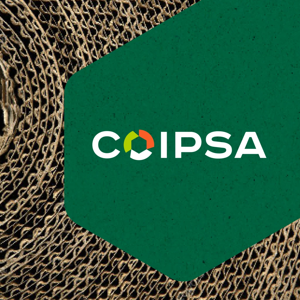Caso Coipsa: definición de propósito
