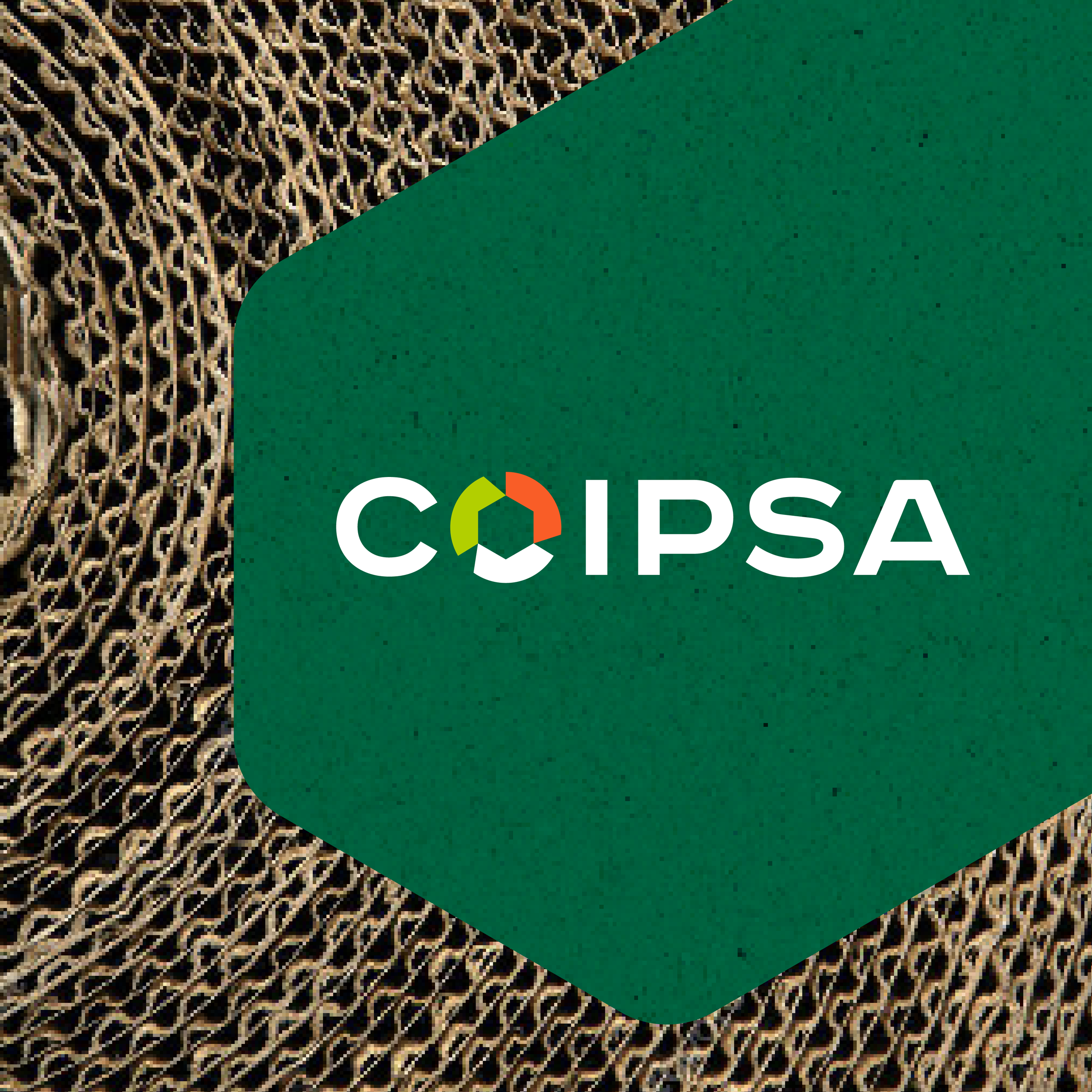 Caso Coipsa: definición de propósito